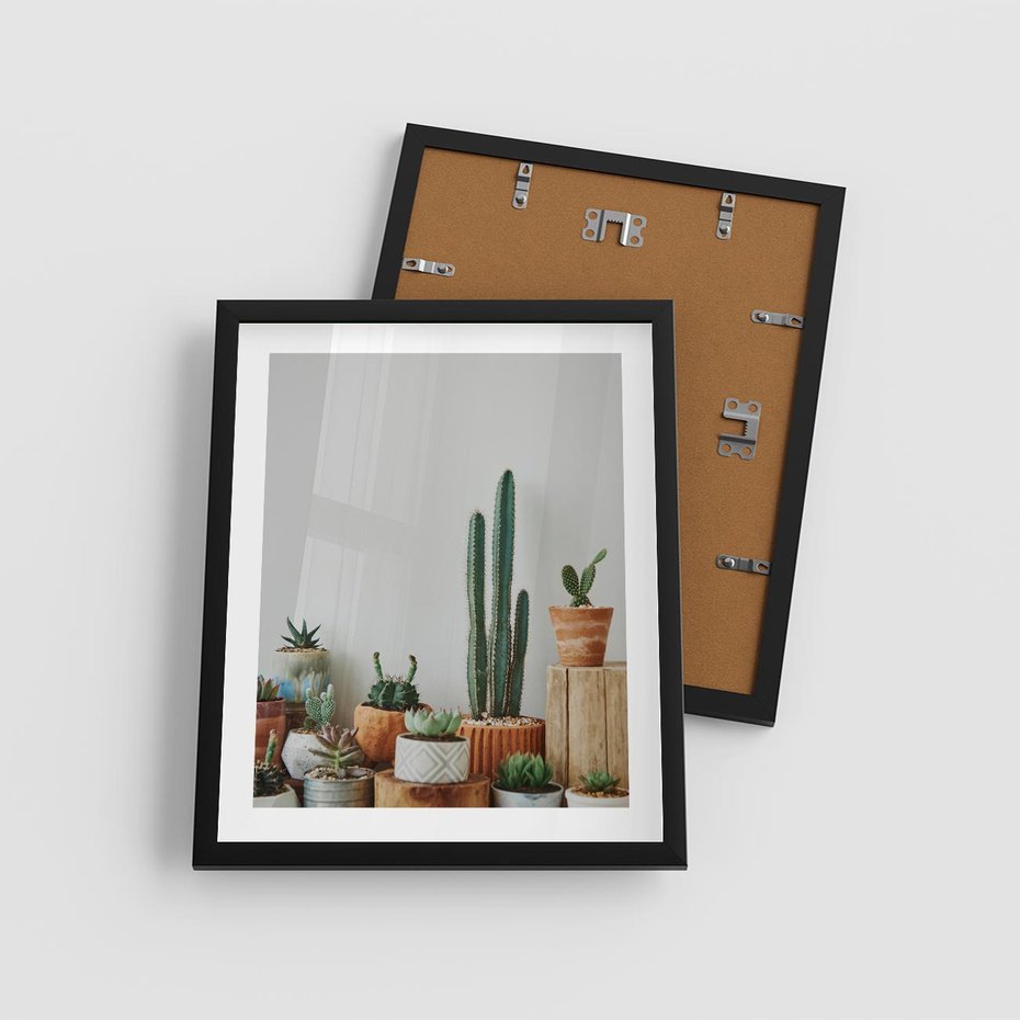 Plakat w ramie 40x50 - Naturalna Harmonia - kaktusy, liście - rama czarna