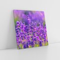 Obraz na płótnie 70x70 - Zaklęta lawenda - lawenda, kwiaty