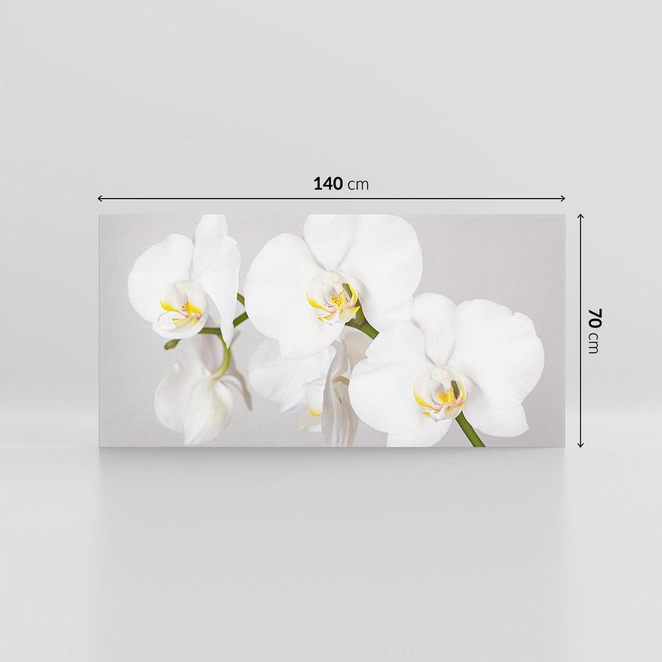 Obraz na płótnie 140x70 - kwiatowy urok - orchidea, kwiat