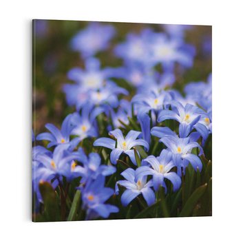 Obraz na płótnie 60x60 - Kwiatowy raj w naturze - kwiat, kwiaty