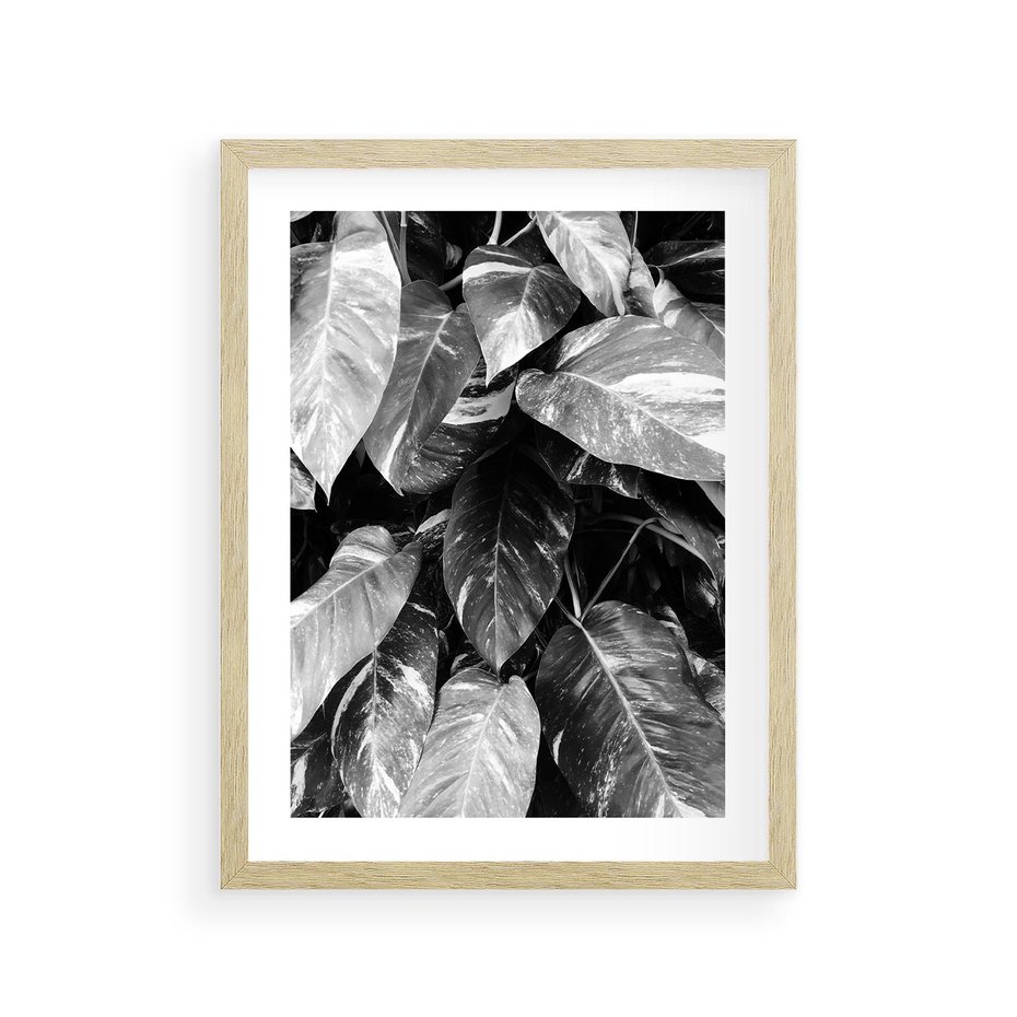 Plakat w ramie 30x40 - Liście w Czarno-Białej Fotografii - liście, roślina - rama drewno