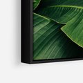 Obraz w ramie 70x100 - Zaklęta roślinna ekspresja - liście bananowca, gęsto ułożone - rama czarna