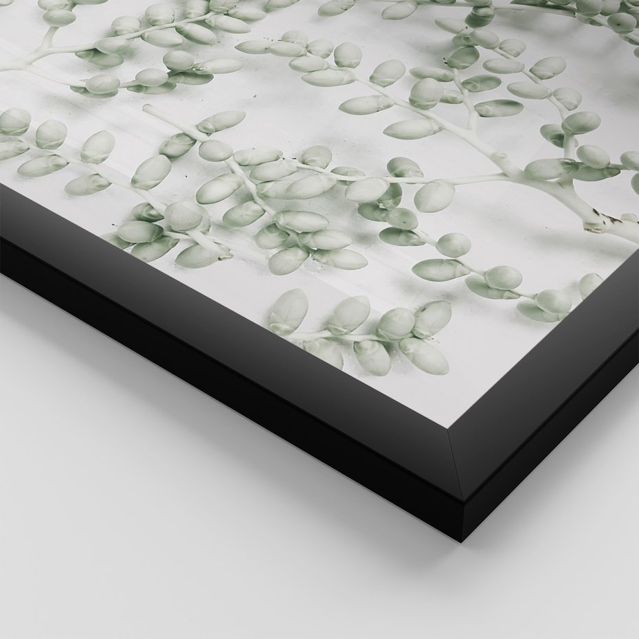 Zestaw obrazy w ramie 50x70 galeria - Liście, zieleń, minimalizm - rama czarna