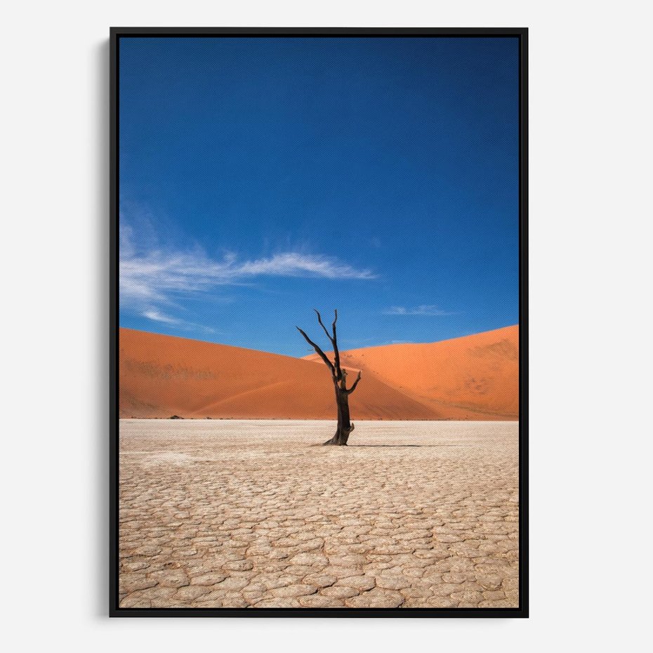 Obraz w ramie 50x70 - Słońce i Suche Drzewo - pustynia, suche - rama czarna