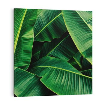 Obraz na płótnie 60x60 - Zaklęta roślinna ekspresja - liście bananowca, gęsto ułożone