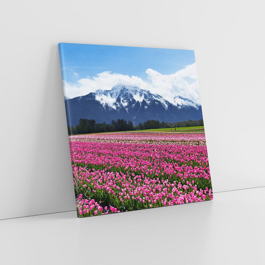 Obraz na płótnie 50x50 - Tulipany w malowniczym krajobrazie" - tulipany, krajobraz