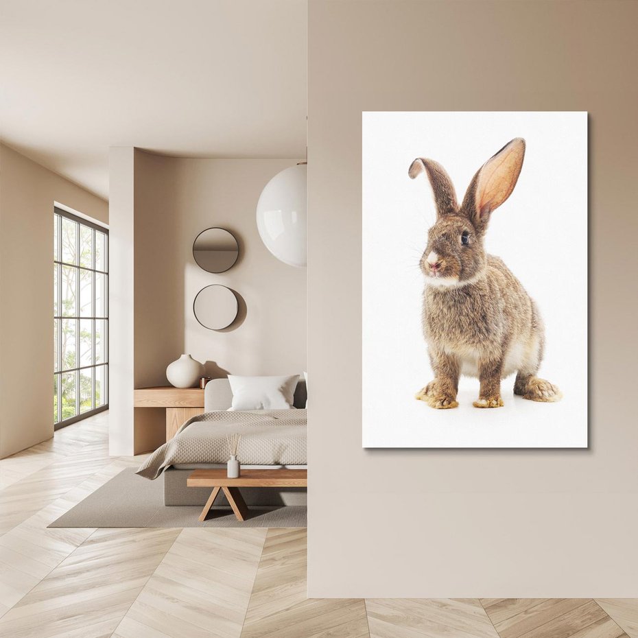 Obraz na płótnie 70x100 - Delikatna Zwierzęca Uroda - królik, zwierzę
