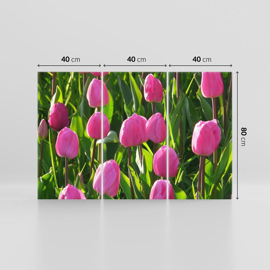 Obraz na płótnie 120x80 - Tulipanowa harmonia - tulipany, kwiaty
