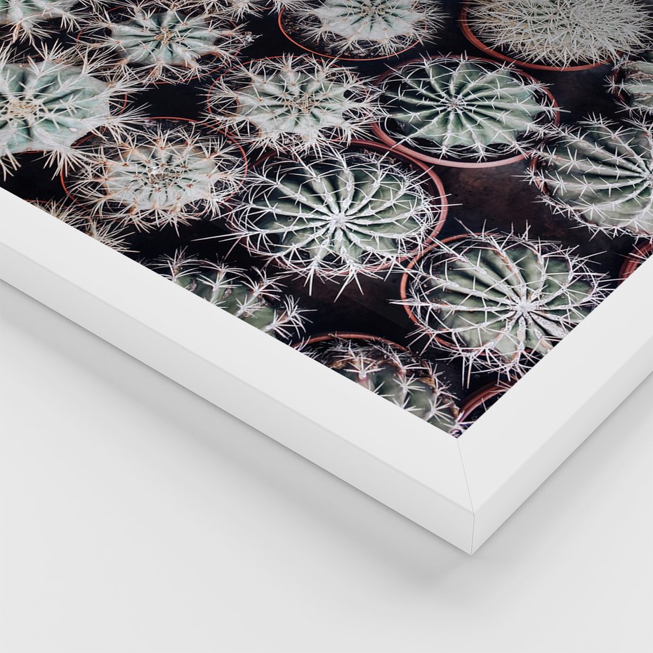 Zestaw obrazy w ramie 30x40 galeria - Kaktusy, liście, boho - rama biała