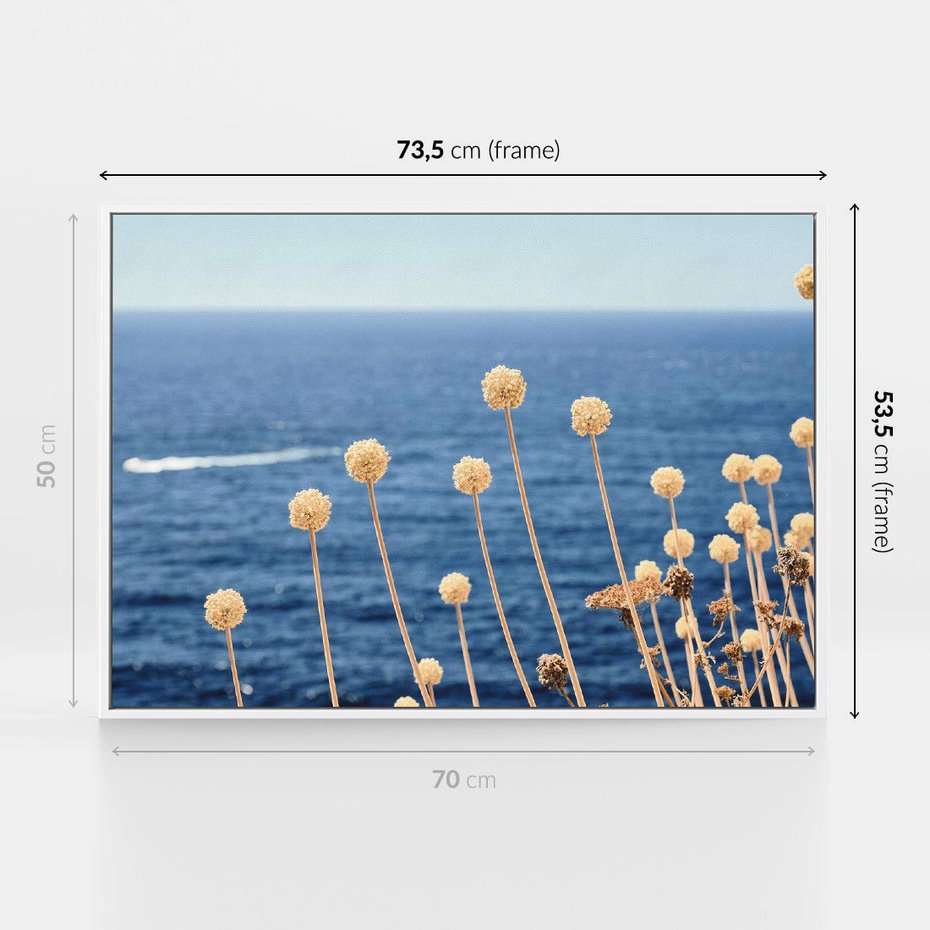 Obraz w ramie 70x50 - Kontrasty Natury - fotografia, pierwszy plan sucha roślinność - rama biała