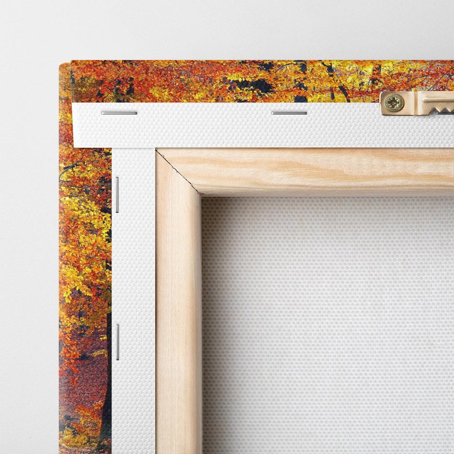 Obraz na płótnie 70x50 - Jesienny taniec lasu - jesień, las