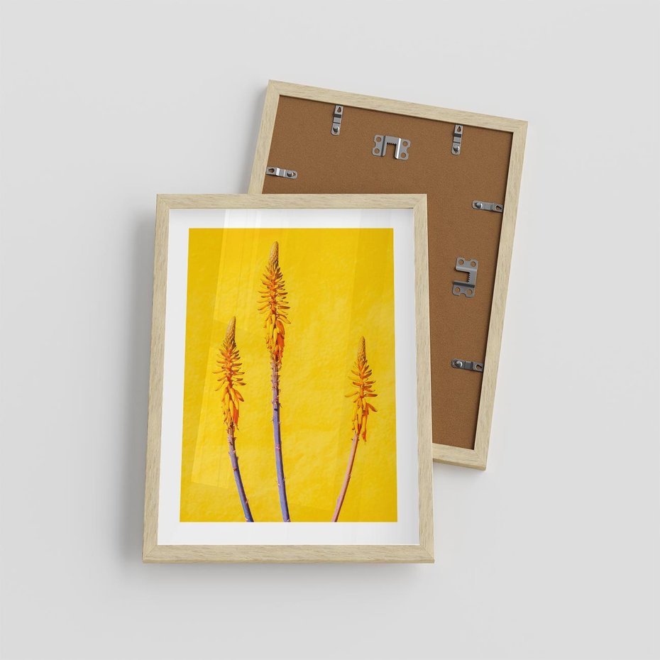 Plakat w ramie 30x40 - Radość Natury - kolor, kwiaty - rama drewno