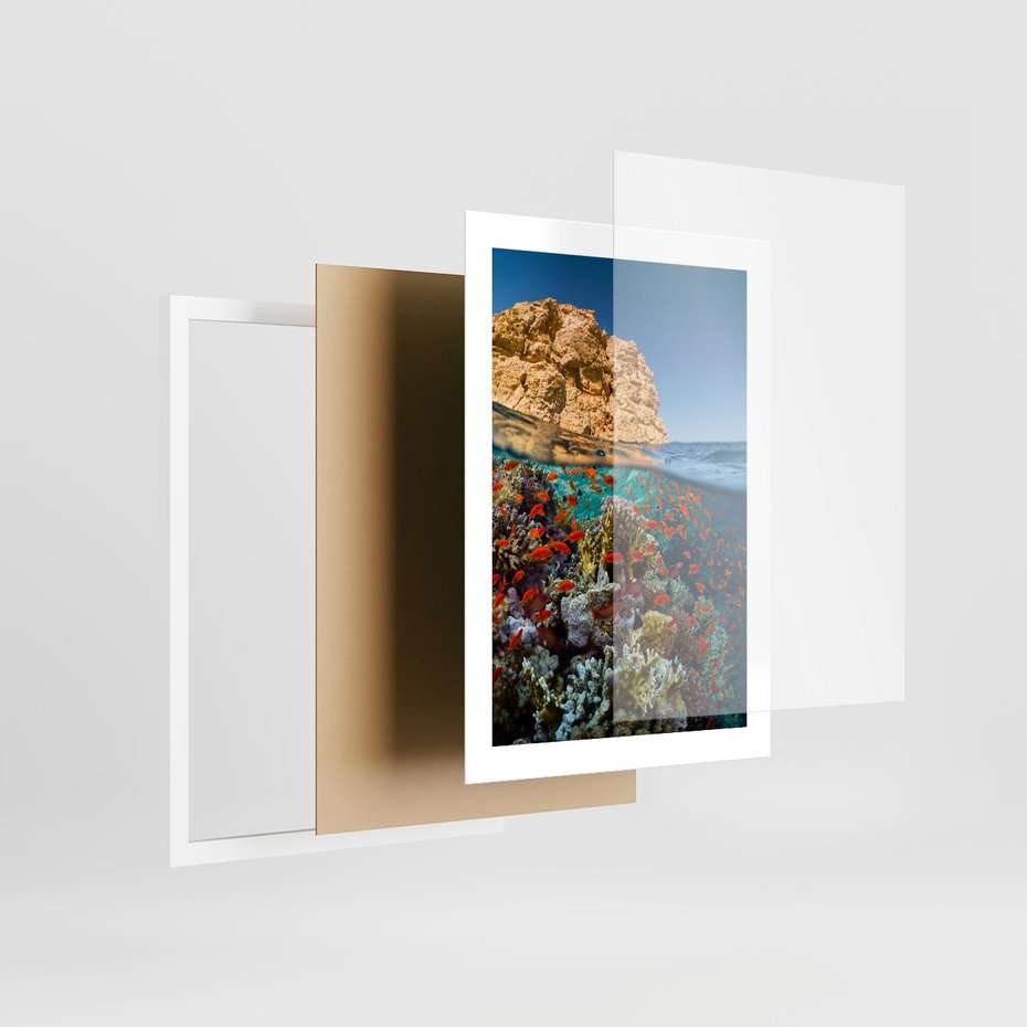 Plakat w ramie 30x40 - Rafa koralowa w oceanie - rafa, koralowa - rama biała