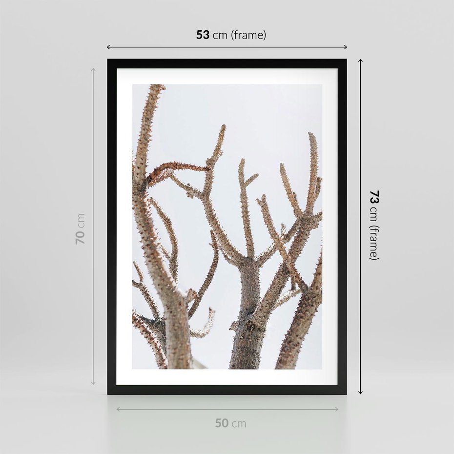 Plakat w ramie 50x70 - Pustynna Harmonia Gałęzi - pustynna roślina, suche gałęzie - rama czarna