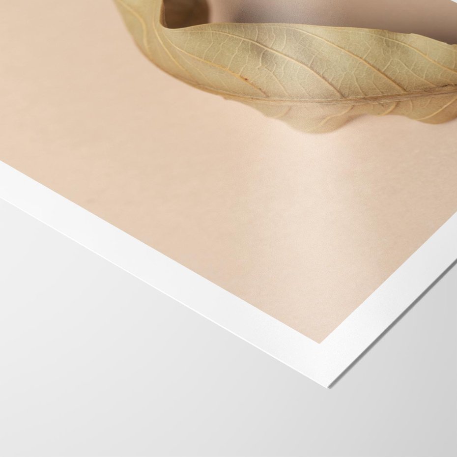 Plakat bez ramy 21x30 - Boho suszone liście - suszony, liść