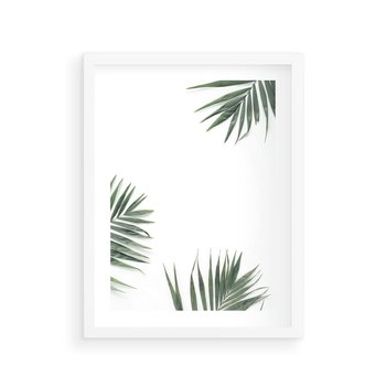 Plakat w ramie 30x40 - Liście Palmy na Czystym Tle - liście palmy, białe tło - rama biała