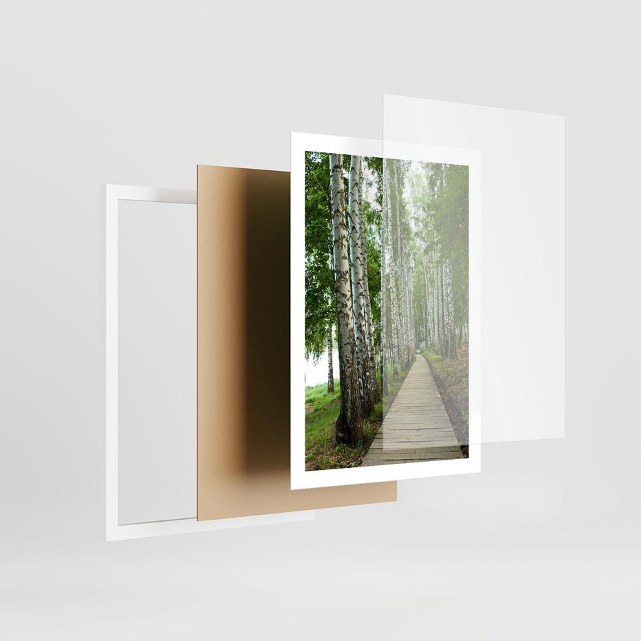 Plakat w ramie 50x70 - Spacer ścieżką przez brzozowy las - las, ścieżka - rama biała