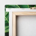 Obraz na płótnie 120x80 - Zaklęta roślinna ekspresja - liście bananowca, gęsto ułożone