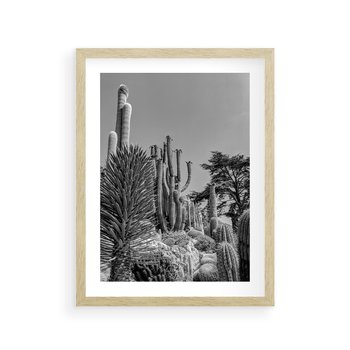 Plakat w ramie 30x40 - Pustynny Klimat - czarno białe zdjecie, pustynia - rama drewno