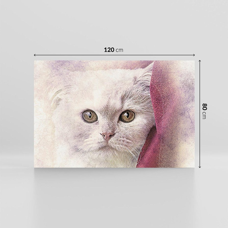 Obraz na płótnie 120x80 - Kot w abstrakcyjnym świetle - kot, abstrakcja