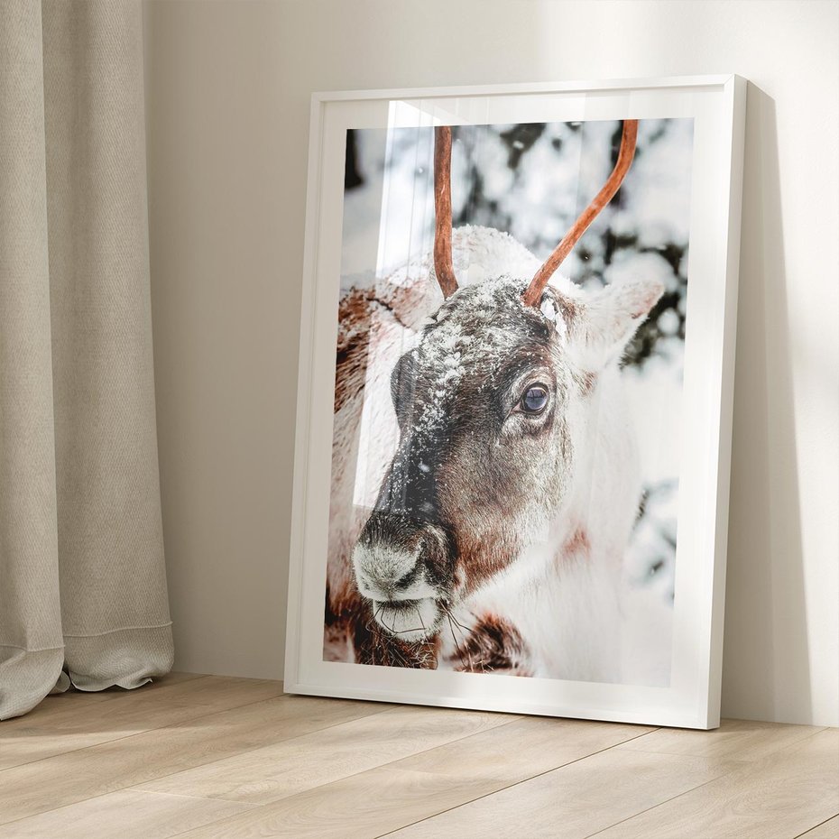 Plakat bez ramy 21x30 - Renifer w Zimowej Krainie - renifer, zima