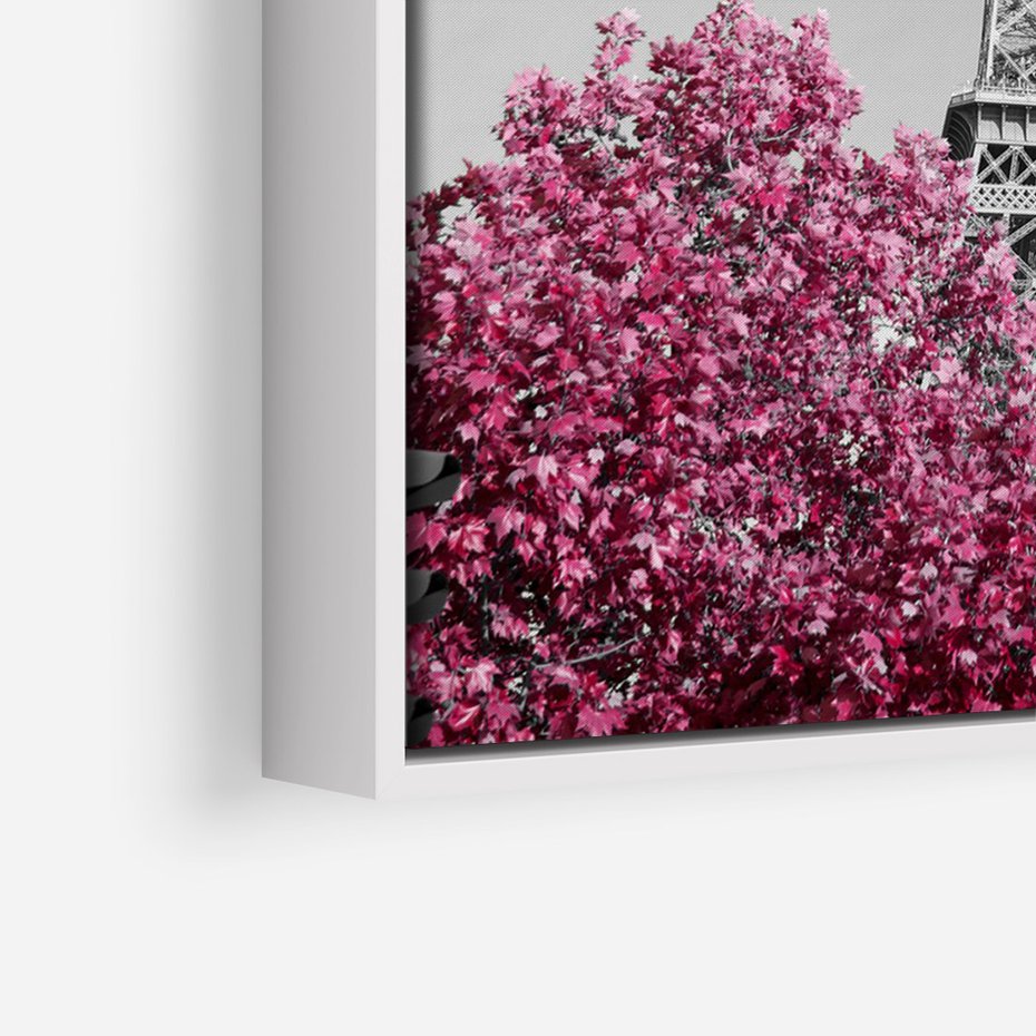 Obraz w ramie 50x70 - Różowy Paryż - czarno białe zdjęcie, wieża eiffla - rama biała