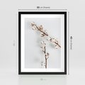Plakat w ramie 30x40 - Gałęzie Bawełny na Białym Tle - gałęzie bawełny na białym tle, minimalizm - rama czarna