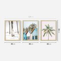 Zestaw obrazy w ramie 40x50 galeria - Lato, palmy, plaża, wakacje - rama drewno