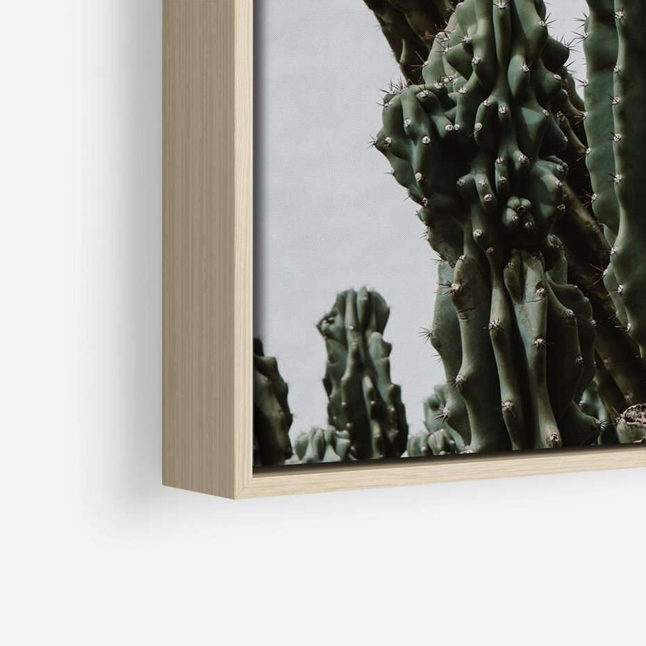 Obraz w ramie 50x50 - Boho oaza wśród kaktusów - kaktusy, pustynia - rama drewno