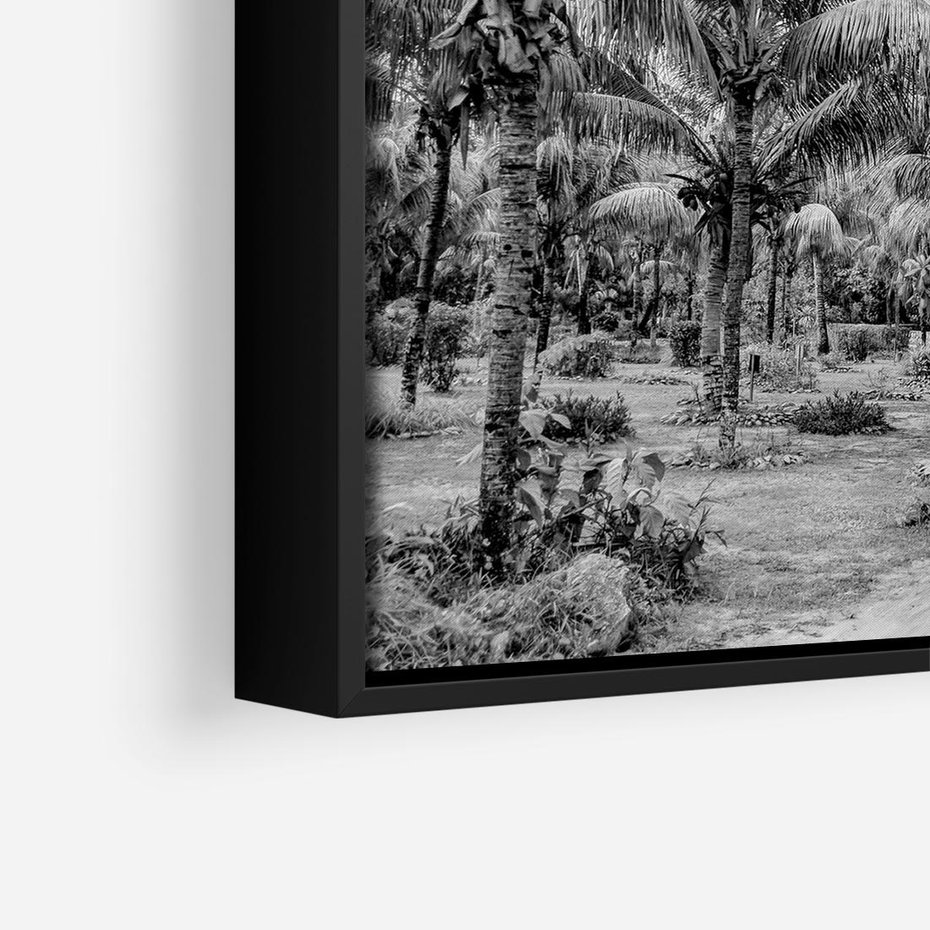 Obraz w ramie 50x50 - Mroczna Ścieżka Tropików - czarno biała fotografia, ścieżka pośród palm - rama czarna