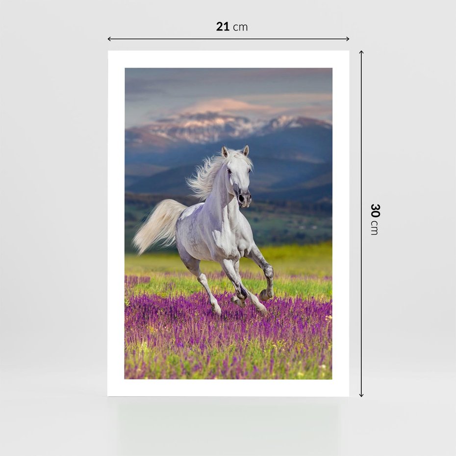 Plakat bez ramy 21x30 - Koń Góry: Spotkanie z Wielką Przyrodą - koń, góry