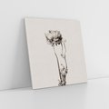 Obraz na płótnie 60x60 - Kwiatowa Symfonia w Szarościach - czarno biała odbitka, jak fotografia