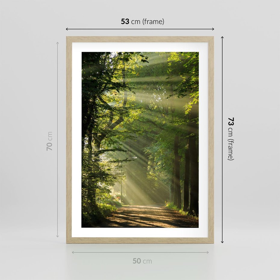 Plakat w ramie 50x70 - harmonia natury - las, drzewa - rama drewno