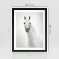 Plakat w ramie 40x50 - Elegancja białego konia - biały, koń - rama czarna
