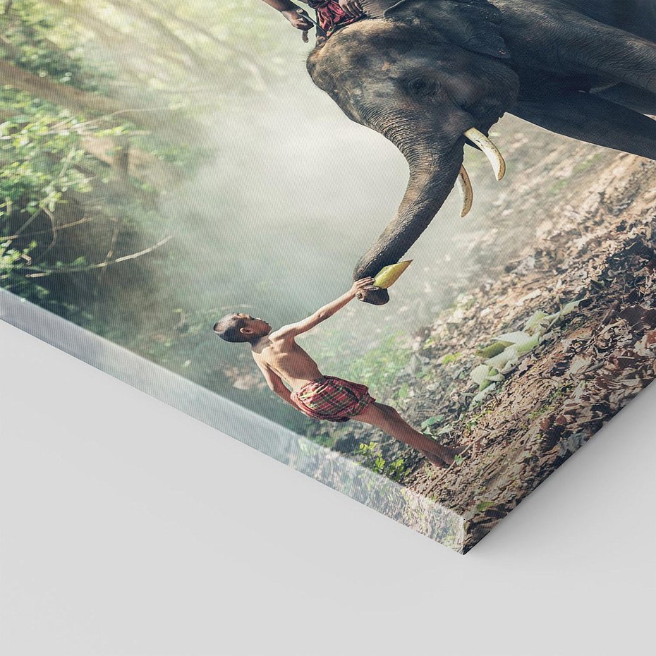 Obraz na płótnie 50x50 - Mistyfikacja w azjatyckim lesie - Azja, słoń