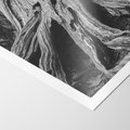 Plakat bez ramy 21x30 - Siła Natury - czarno biała fotografia, korzenie wielkiego drzewa