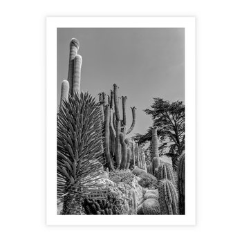 Plakat bez ramy 40x50 - Pustynny Klimat - czarno białe zdjecie, pustynia