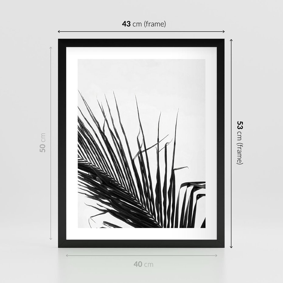 Plakat w ramie 40x50 - Sztuka Natury: Monochromatyczna Palma - palma, czarno białe zdjęcie - rama czarna