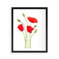 Plakat w ramie 40x50 - Pola maków w pełnym kolorze - maki, kwiaty - rama czarna