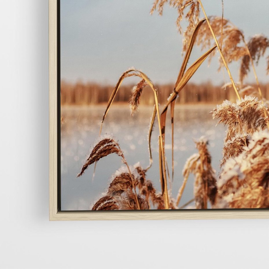 Obraz w ramie 80x80 - Wyraz Stylu - trawy, boho - rama drewno