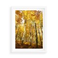 Plakat w ramie 50x70 - Jesienny Las - Kolorowa Paleta Natury - jesień, drzewa - rama biała