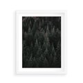 Plakat w ramie 40x50 - Wysoko nad Iglastym Lasem - las, perspektywa - rama biała