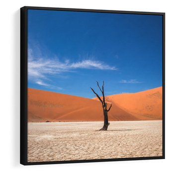 Obraz w ramie 50x50 - Słońce i Suche Drzewo - pustynia, suche - rama czarna
