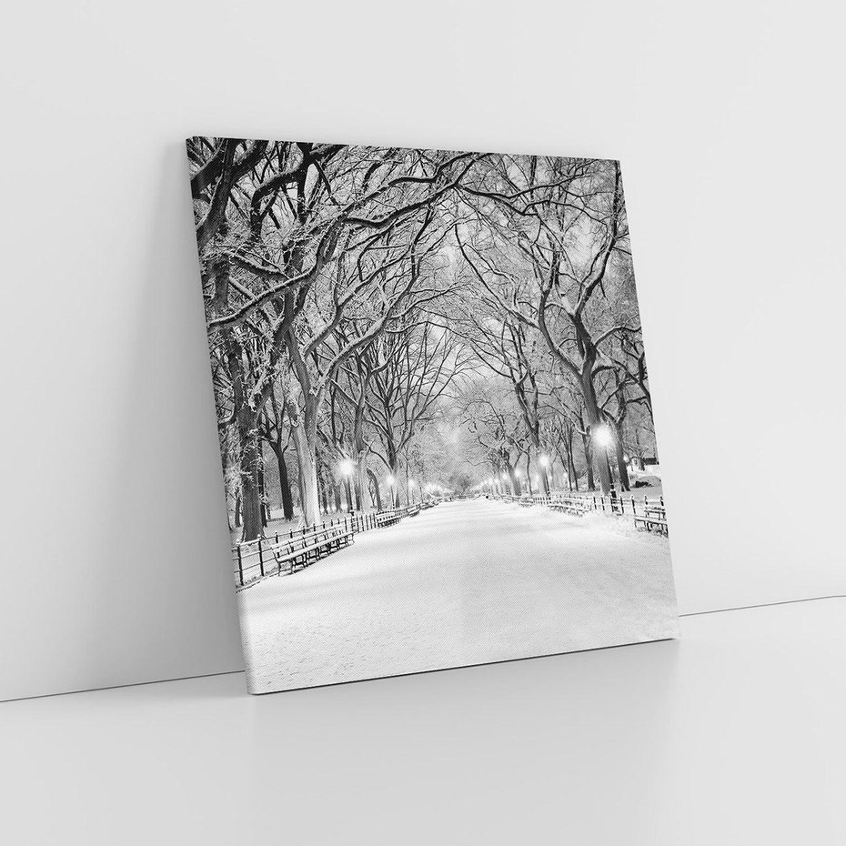 Obraz na płótnie 30x30 - cisza wśród drzew - zima, park