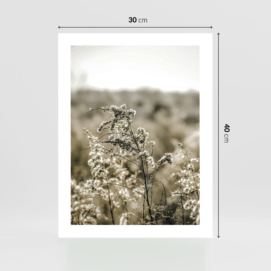 Plakat bez ramy 30x40 - Pampas i Bocho - suche trawy, bocho