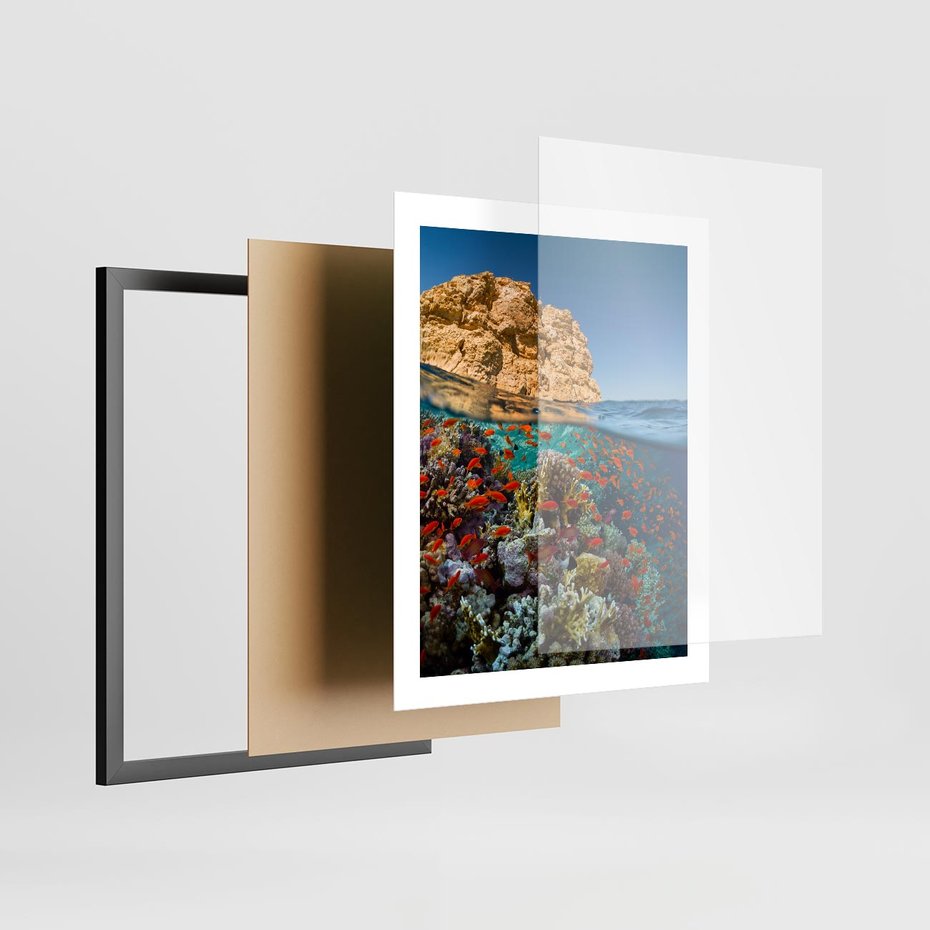 Plakat w ramie 40x50 - Rafa koralowa w oceanie - rafa, koralowa - rama czarna