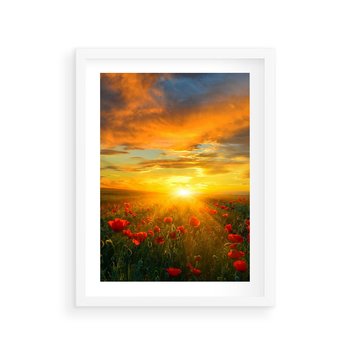 Plakat w ramie 40x50 - Magia zachodu słońca na łące z makami - łąka, zachód słońca - rama biała