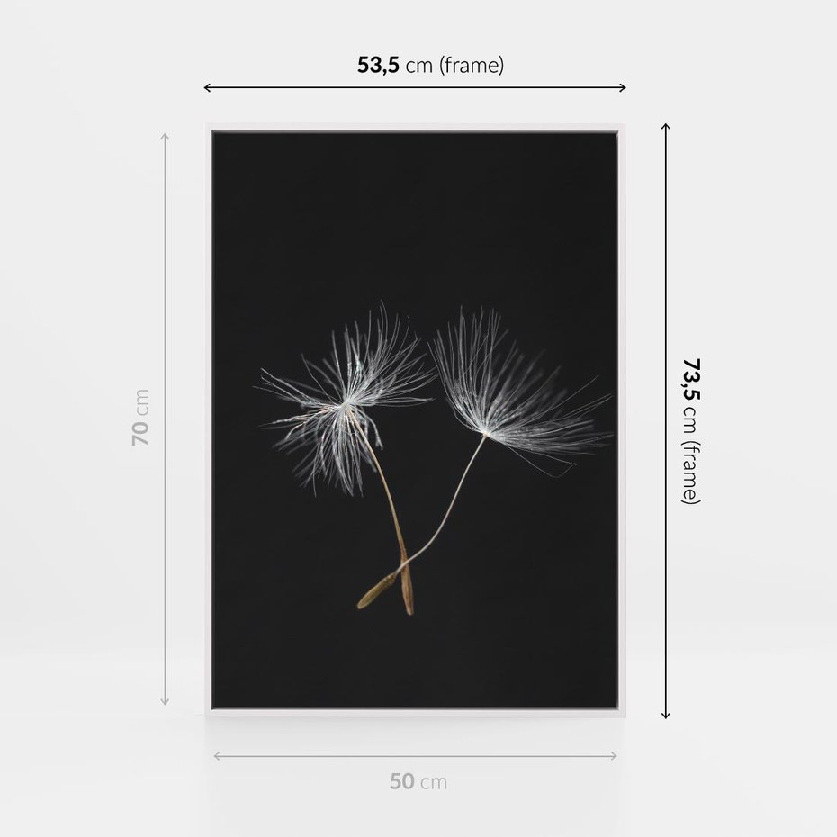 Obraz w ramie 50x70 - Delikatność Wiatru - dmuchawce, makro - rama biała