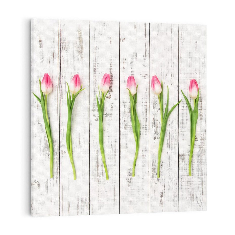 Obraz na płótnie 70x70 - Kwintesencja Piękna - kwiaty, tulipany