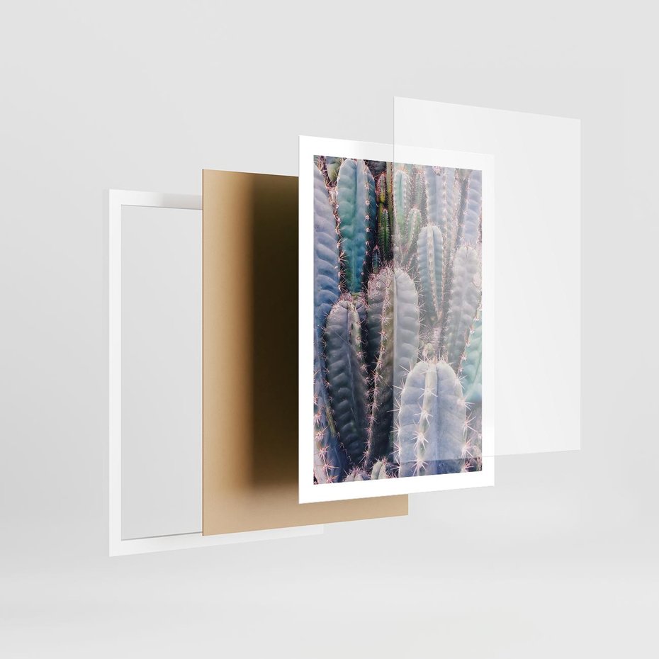 Plakat w ramie 50x70 - Kaktusowy Raj - kaktusy, dużo kaktusów - rama biała